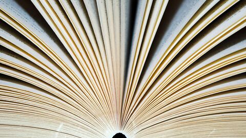 Offenes Buch Aufgeschlagenes Buch von unten betrachtet - die Seiten sind fächerförmig angeordnet.